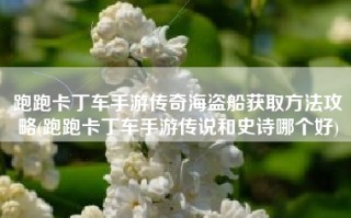 跑跑卡丁车手游传奇海盗船获取方法攻略(跑跑卡丁车手游传说和史诗哪个好)