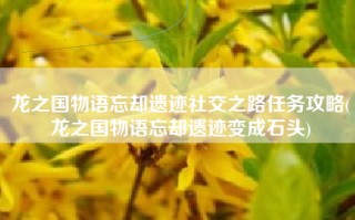 龙之国物语忘却遗迹社交之路任务攻略(龙之国物语忘却遗迹变成石头)