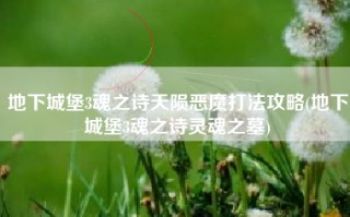 地下城堡3魂之诗天陨恶魔打法攻略(地下城堡3魂之诗灵魂之墓)