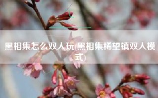 黑相集怎么双人玩(黑相集稀望镇双人模式)