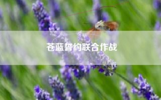 苍蓝誓约联合作战