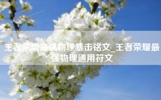 王者荣耀最强物理暴击铭文_王者荣耀最强物理通用符文