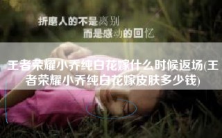 王者荣耀小乔纯白花嫁什么时候返场(王者荣耀小乔纯白花嫁皮肤多少钱)