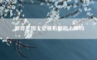 醉弈三国太史慈后期能上阵吗