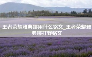 王者荣耀雅典娜用什么铭文_王者荣耀雅典娜打野铭文