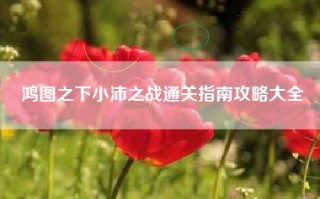 鸿图之下小沛之战通关指南攻略大全
