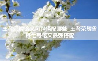 王者荣耀铭文可以搭配哪些_王者荣耀鲁班七号铭文最强搭配
