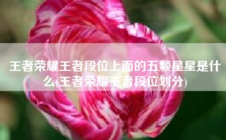 王者荣耀王者段位上面的五颗星星是什么(王者荣耀王者段位划分)