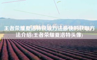 王者荣耀夏洛特获取方法最快的获取方法介绍(王者荣耀夏洛特头像)