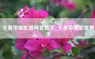 王者荣耀配置两套铭文_王者荣耀配置要求