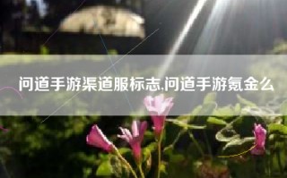 问道手游渠道服标志,问道手游氪金么