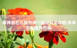 解神者怎么提升神力最新玩法攻略(原神怎么提升伤害)