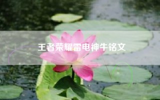 王者荣耀雷电神牛铭文
