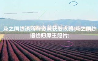 龙之国物语所有资源获取攻略(龙之国物语物归原主照片)