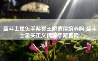 圣斗士星矢手游冥王瞬值得培养吗(圣斗士星矢正义传说手游官网)