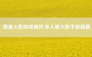 我是火影游戏测评,本人是火影手游萌新