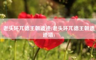 老头环兀德王朝遗迹(老头环兀德王朝遗迹墙)