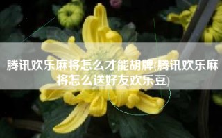 腾讯欢乐麻将怎么才能胡牌(腾讯欢乐麻将怎么送好友欢乐豆)