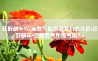 狂野飙车9完美氮气如何触发方式介绍(狂野飙车9完美氮气和氮气爆发)