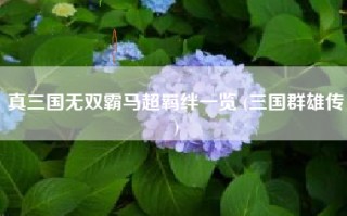 真三国无双霸马超羁绊一览 (三国群雄传)