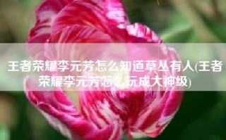 王者荣耀李元芳怎么知道草丛有人(王者荣耀李元芳怎么玩成大神级)