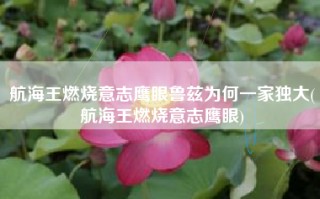 航海王燃烧意志鹰眼鲁兹为何一家独大(航海王燃烧意志鹰眼)