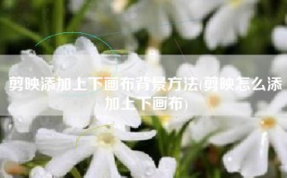 剪映添加上下画布背景方法(剪映怎么添加上下画布)