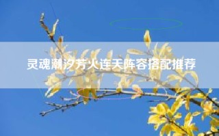 灵魂潮汐芳火连天阵容搭配推荐