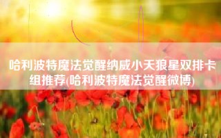 哈利波特魔法觉醒纳威小天狼星双排卡组推荐(哈利波特魔法觉醒微博)
