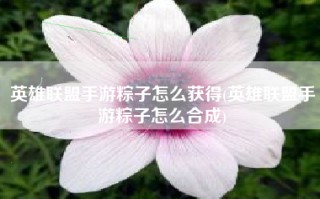 英雄联盟手游粽子怎么获得(英雄联盟手游粽子怎么合成)