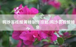 鸣沙客栈酿黄桃制作攻略(鸣沙客栈酿鲮鱼)
