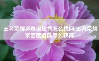 王者荣耀道具误出售怎么找回(王者荣耀亲密度道具怎么获得)