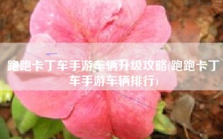 跑跑卡丁车手游车辆升级攻略(跑跑卡丁车手游车辆排行)