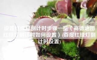 设置红绿灯倒计时步骤一览（高德地图红绿灯倒计时如何设置）(百度红绿灯倒计时设置)