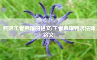 甄姬王者荣耀的铭文(王者荣耀甄姬法师铭文)