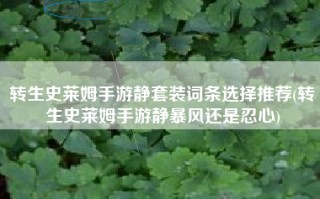 转生史莱姆手游静套装词条选择推荐(转生史莱姆手游静暴风还是忍心)