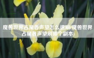 魔兽世界占星者声望怎么速刷(魔兽世界占星者声望刷哪个副本)