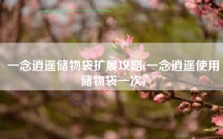一念逍遥储物袋扩展攻略(一念逍遥使用储物袋一次)