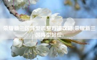荣耀新三国阵型调整方法攻略(荣耀新三国阵型站位)
