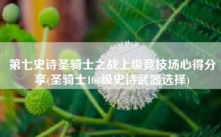 第七史诗圣骑士之战上级竞技场心得分享(圣骑士100级史诗武器选择)