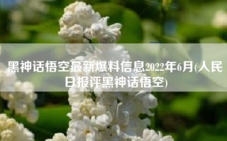 黑神话悟空最新爆料信息2022年6月(人民日报评黑神话悟空)