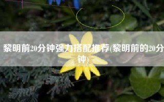 黎明前20分钟强力搭配推荐(黎明前的20分钟)