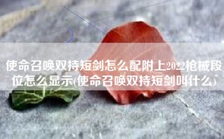 使命召唤双持短剑怎么配附上2022枪械段位怎么显示(使命召唤双持短剑叫什么)