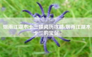 烟雨江湖木十三嫖阅历攻略(烟雨江湖木十三的宝剑)