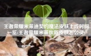 王者荣耀米莱迪契约魔法皮肤上线时间一览(王者荣耀米莱狄新皮肤怎么买)