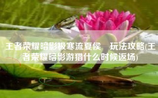 王者荣耀暗影极寒流夏侯惇玩法攻略(王者荣耀暗影游猎什么时候返场)