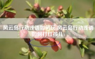 风云岛行动浅语如何玩(风云岛行动浅语如何打红孩儿)