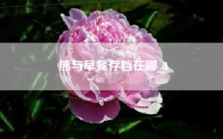 熊与早餐存档在哪_1