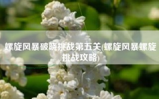 螺旋风暴破晓挑战第五关(螺旋风暴螺旋挑战攻略)