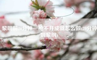 黎明前20分钟一枪不开成就怎么做(20分钟到黎明)